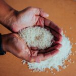 rice, paddy, eat, food, field, harvest, brown rice, rice, rice, brown rice, brown rice, brown rice, brown rice, brown rice